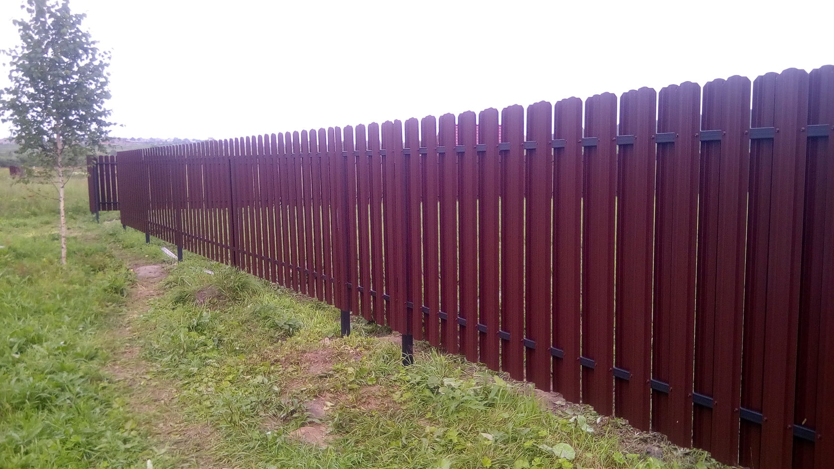 Сколько стоит метр металлического забора. Забор из евроштакетника 20 метров. Забор из евроштакетника 1.8. Забор рал 3005. Металл штакетник эллипс 3005.