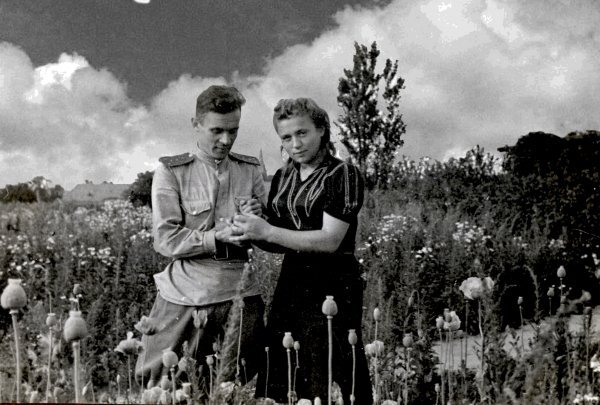 Нина и Василий собирают цветы на маковом поле под Бартенштайном.