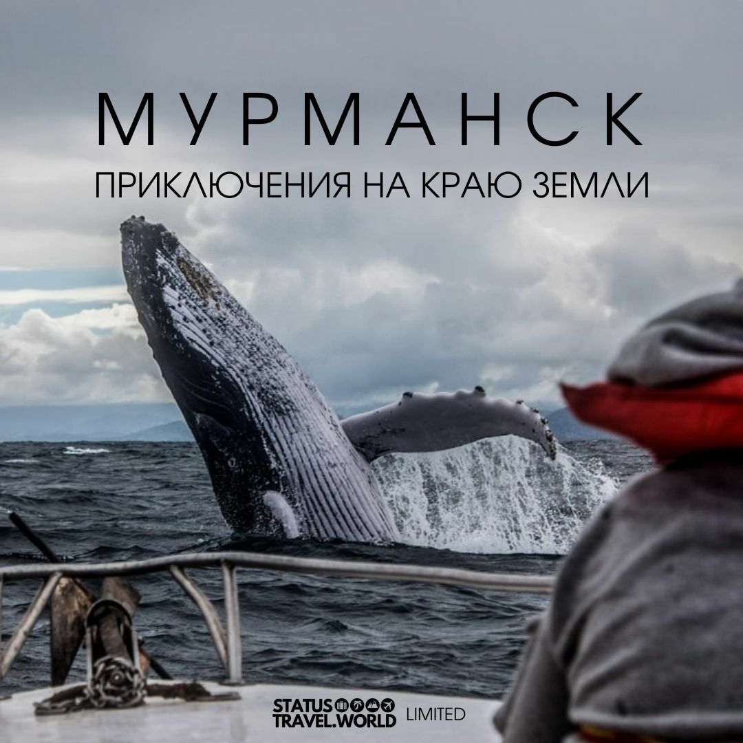 Авторские Туры В Мурманск На Новый Год