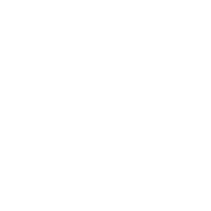 website icon