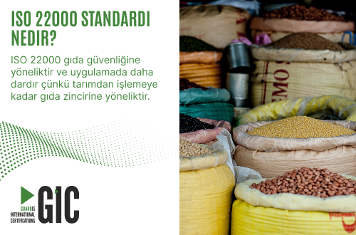 ISO 22000 standardı nedir?