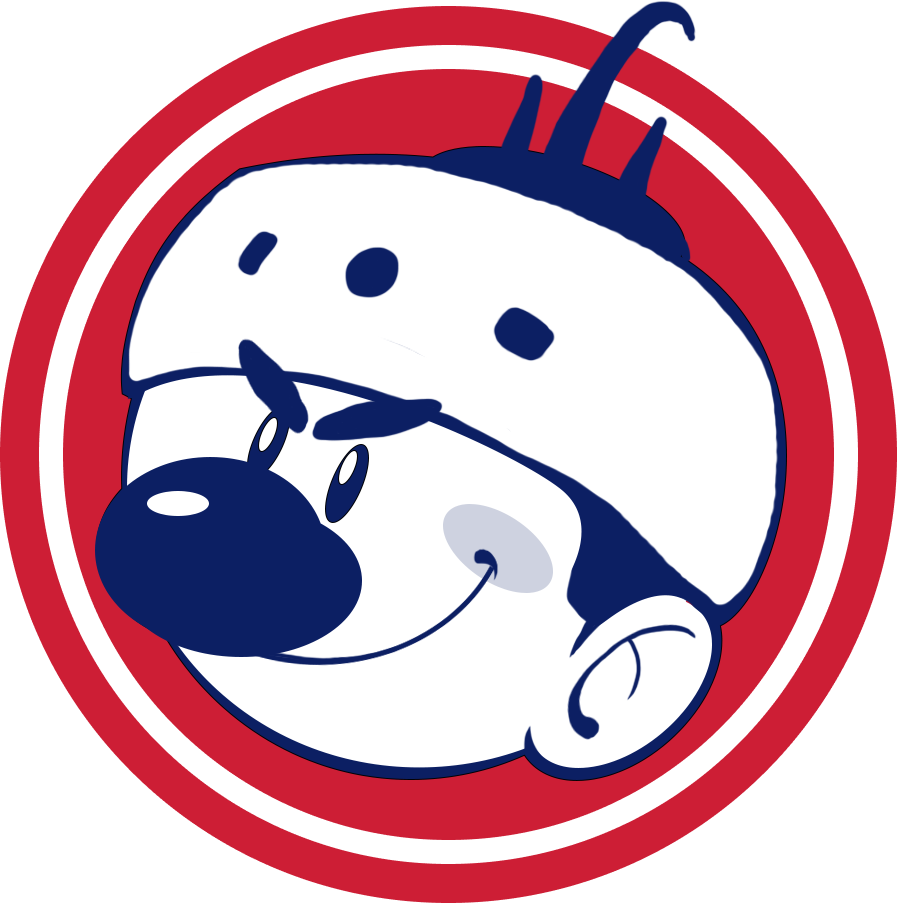 Экочистка хоккейной формы