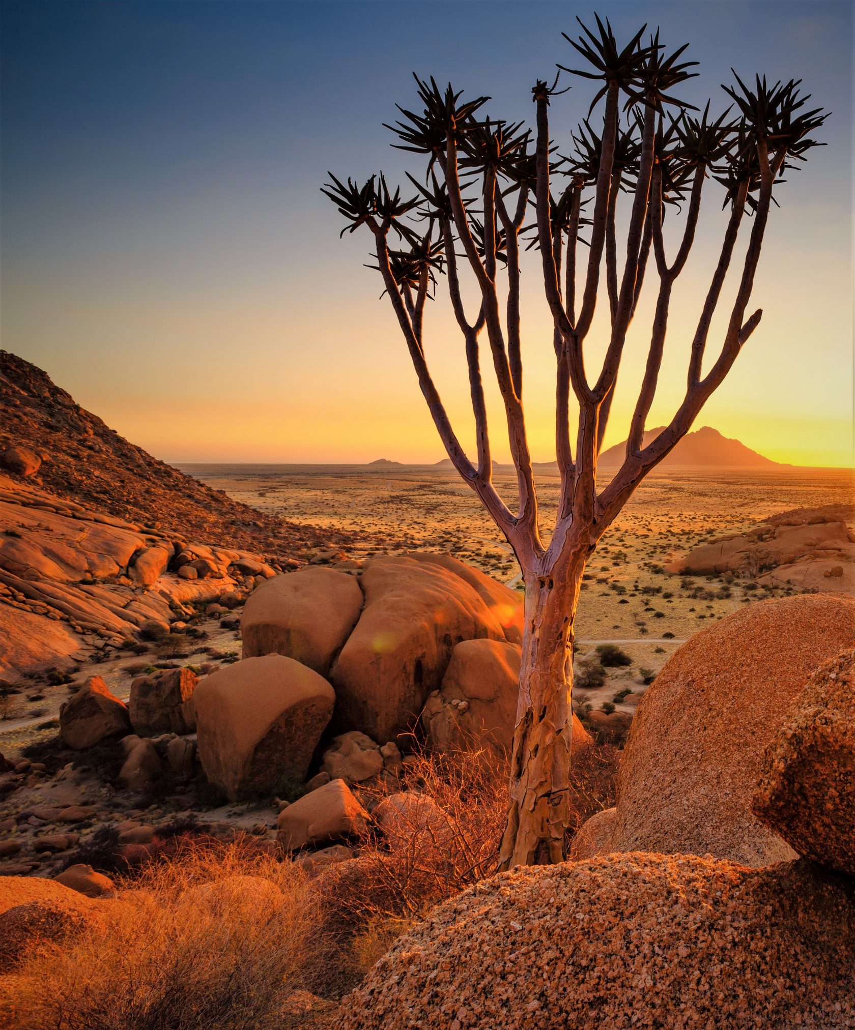 Намибия отдых. Пустыня Намиб. Намибия Африка. Намибия материк. Намибия природа.