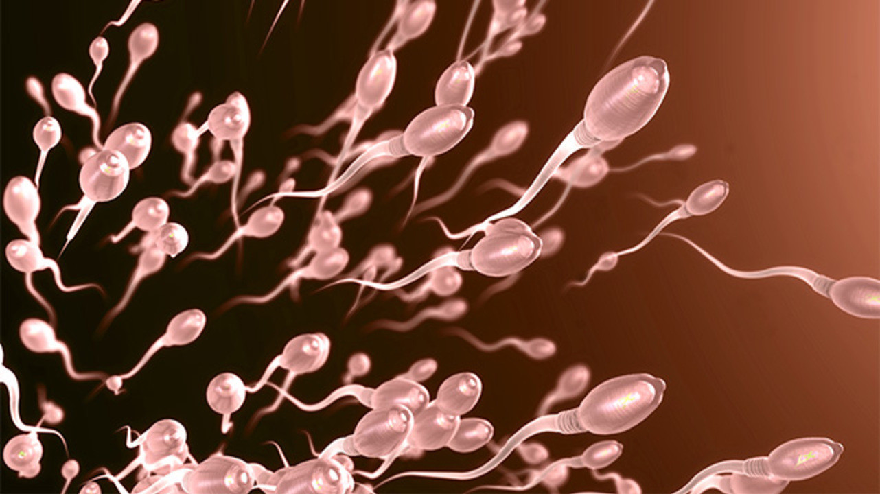 Что влияет на качество спермы? Топ-9 неожиданных фактов - Медицинский центр Active Medical