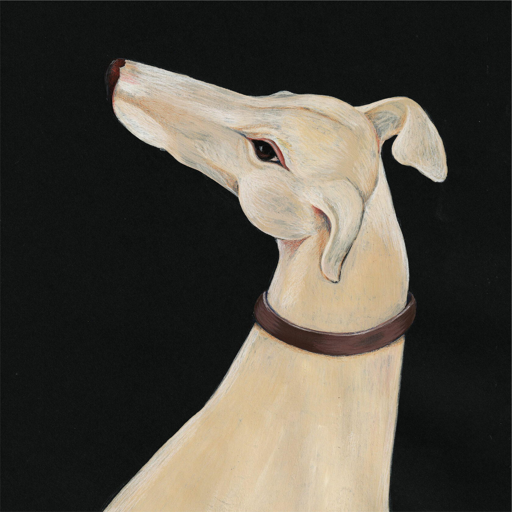 портрет питомца