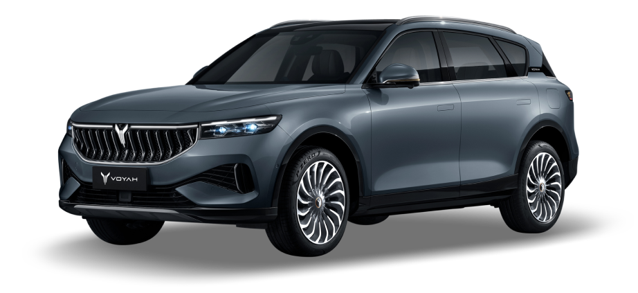 Русификация Voyah