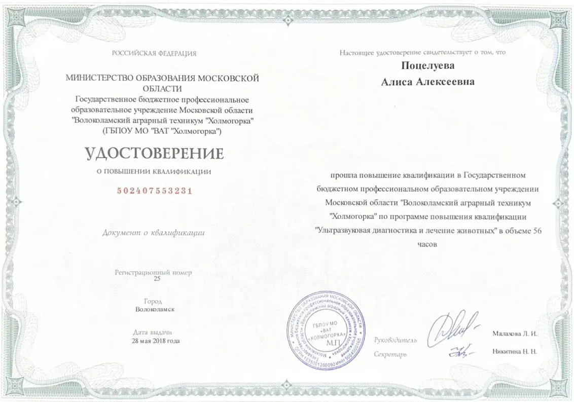 Удостоверение Поцелуева А.А.