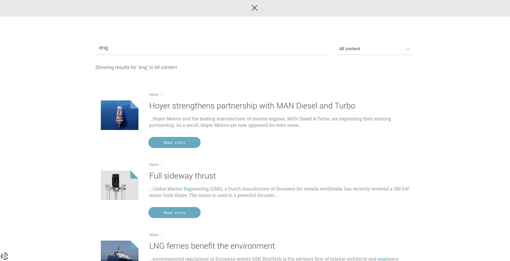 Пример поисковой выдачи по сайту