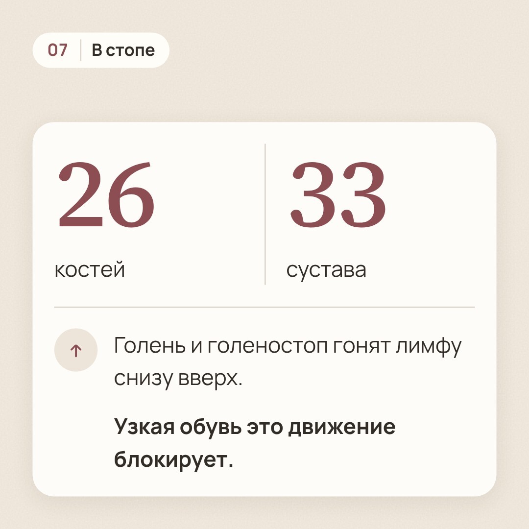 Кадр 7. В стопе 26 костей и 33 сустава, инфографика секциями