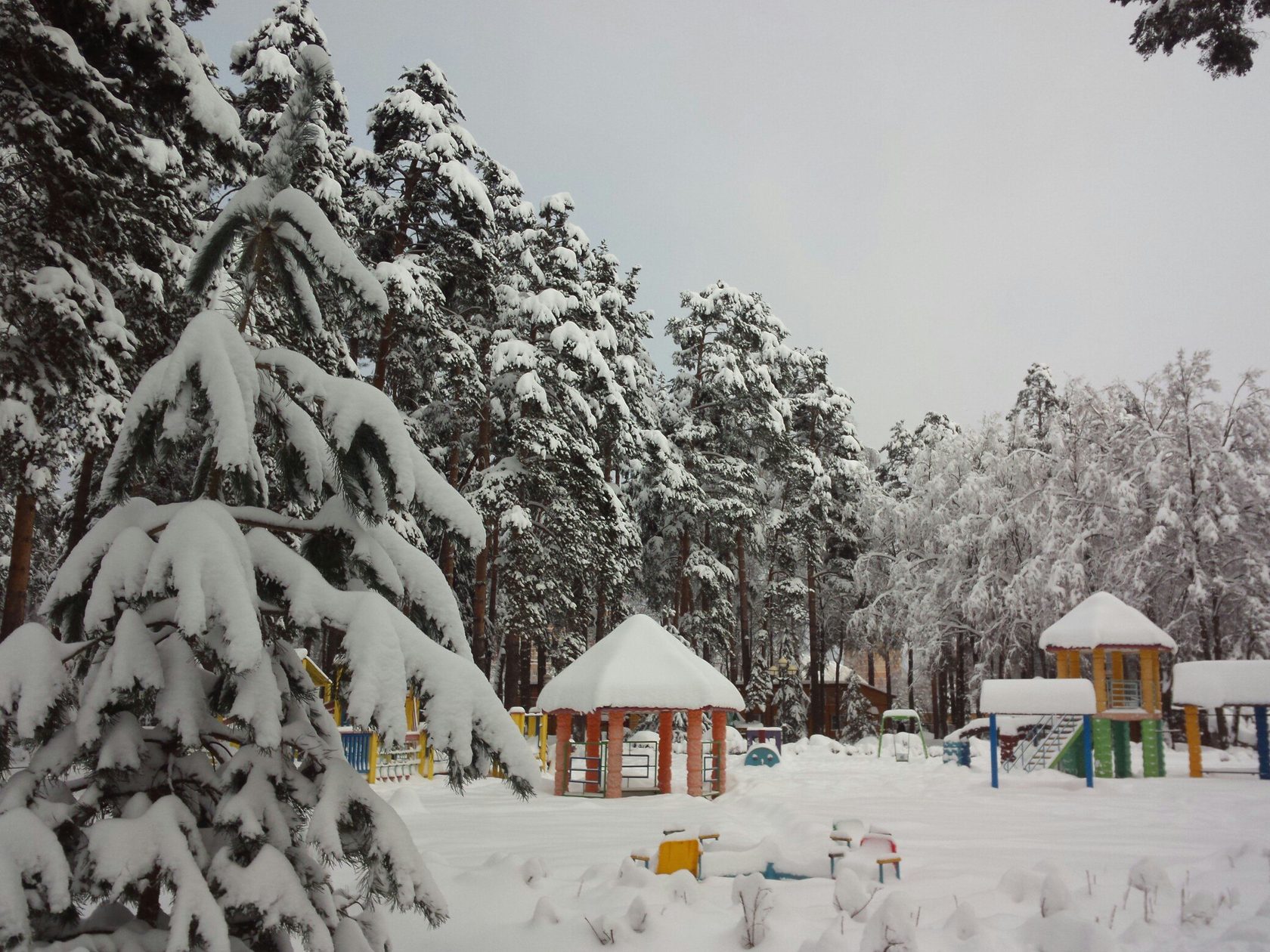 Красногорский парк зимой