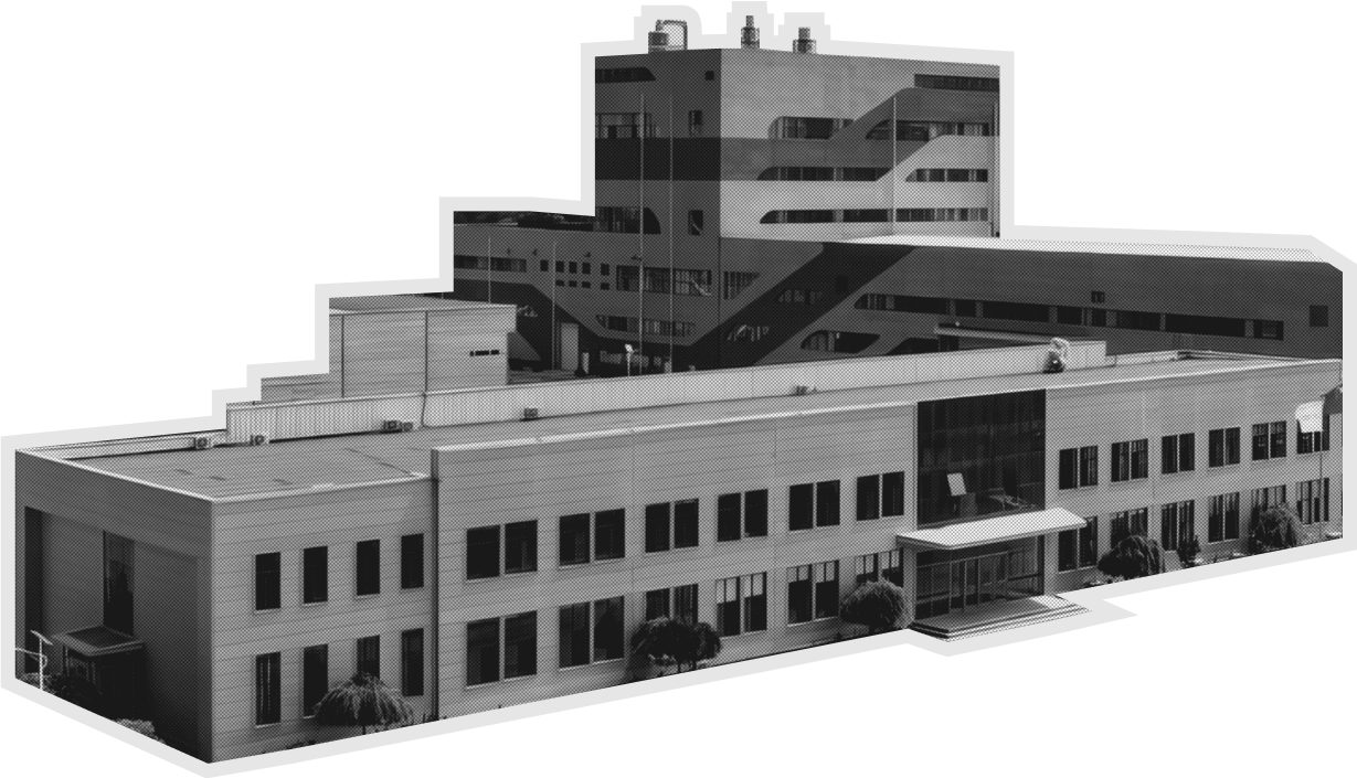 Liaoning Haichen Pet Organic Food Co., Ltd (Китай)