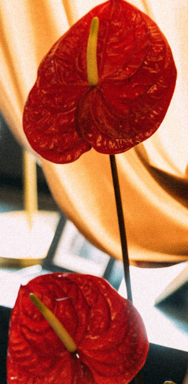 красивое оформление для праздника свидания