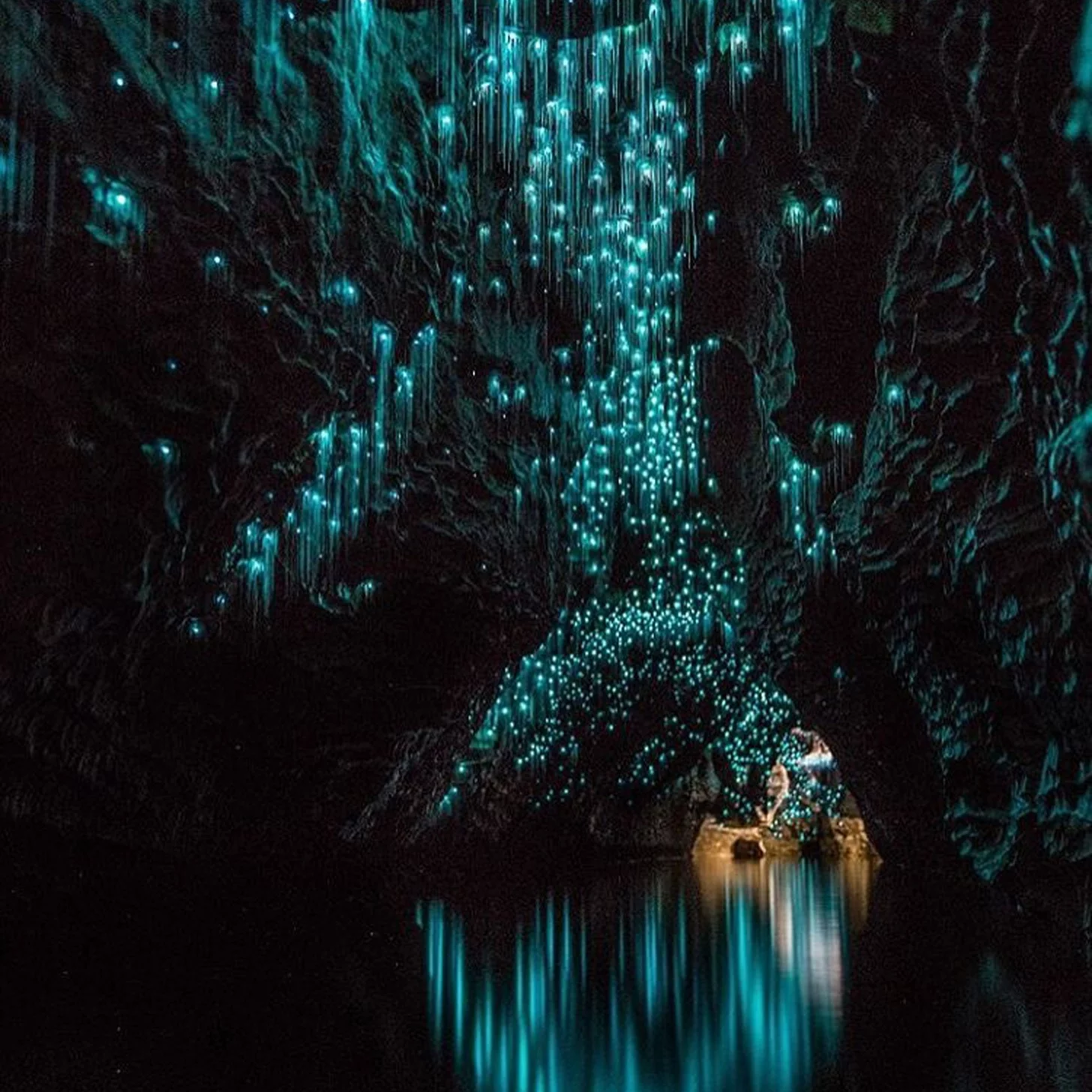 пещеры светлячков вайтомо