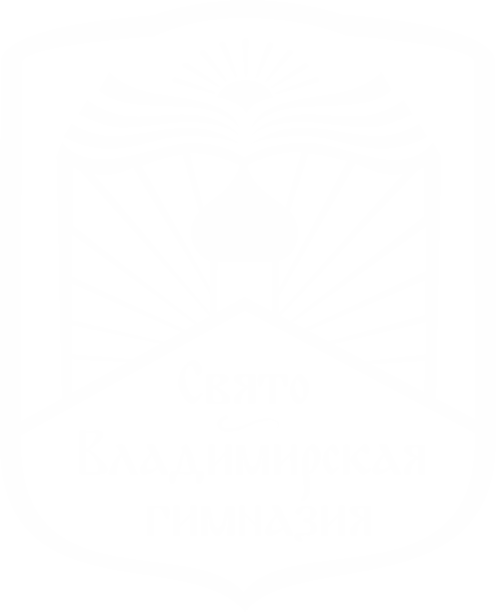  Свято-Владимирская гимназия 