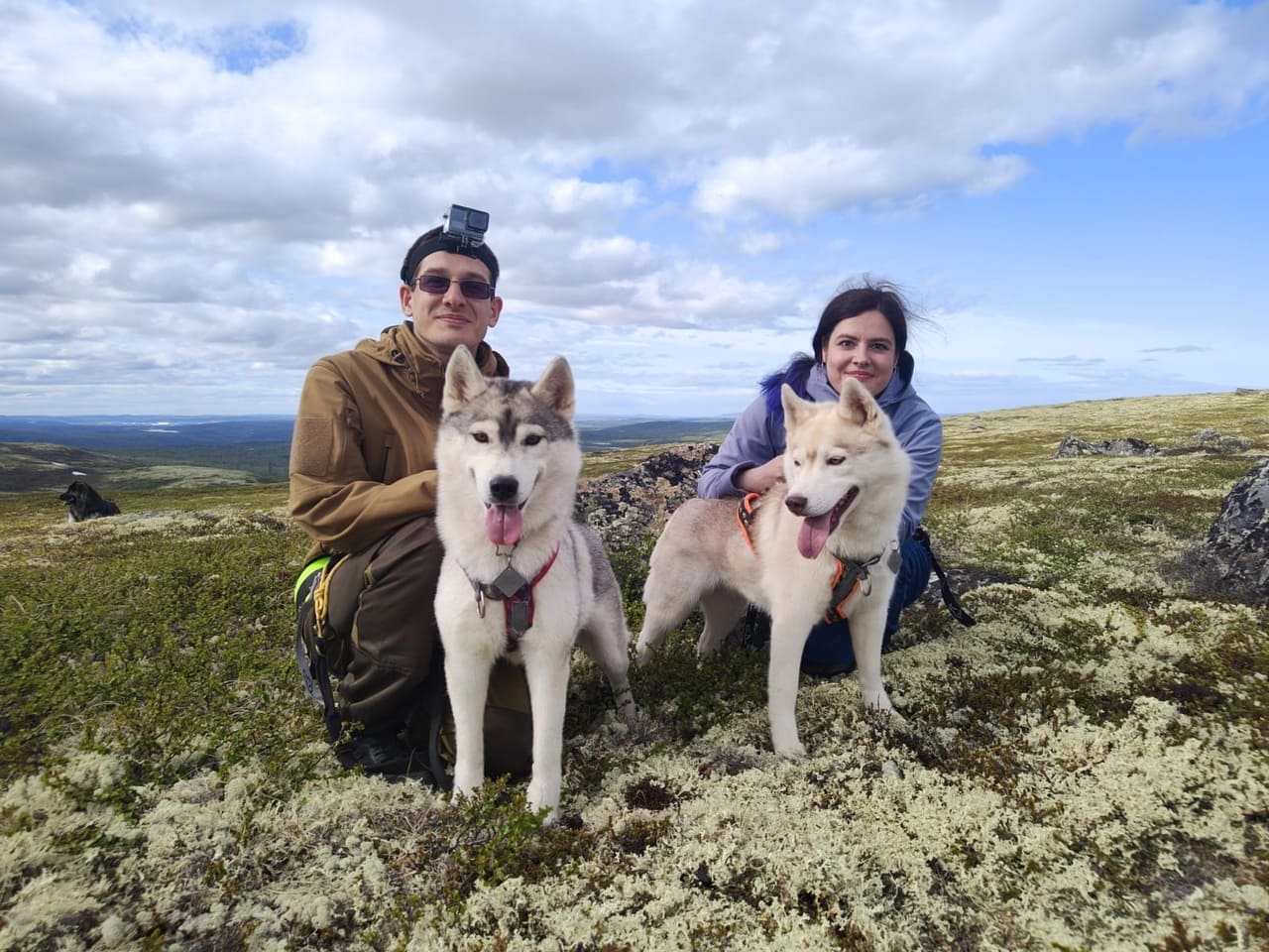 Походы с хаски