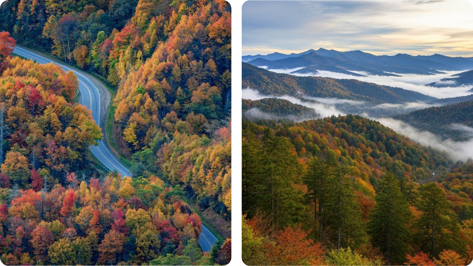 Great Smoky Mountains осенью: туман над долиной и разноцветный лес