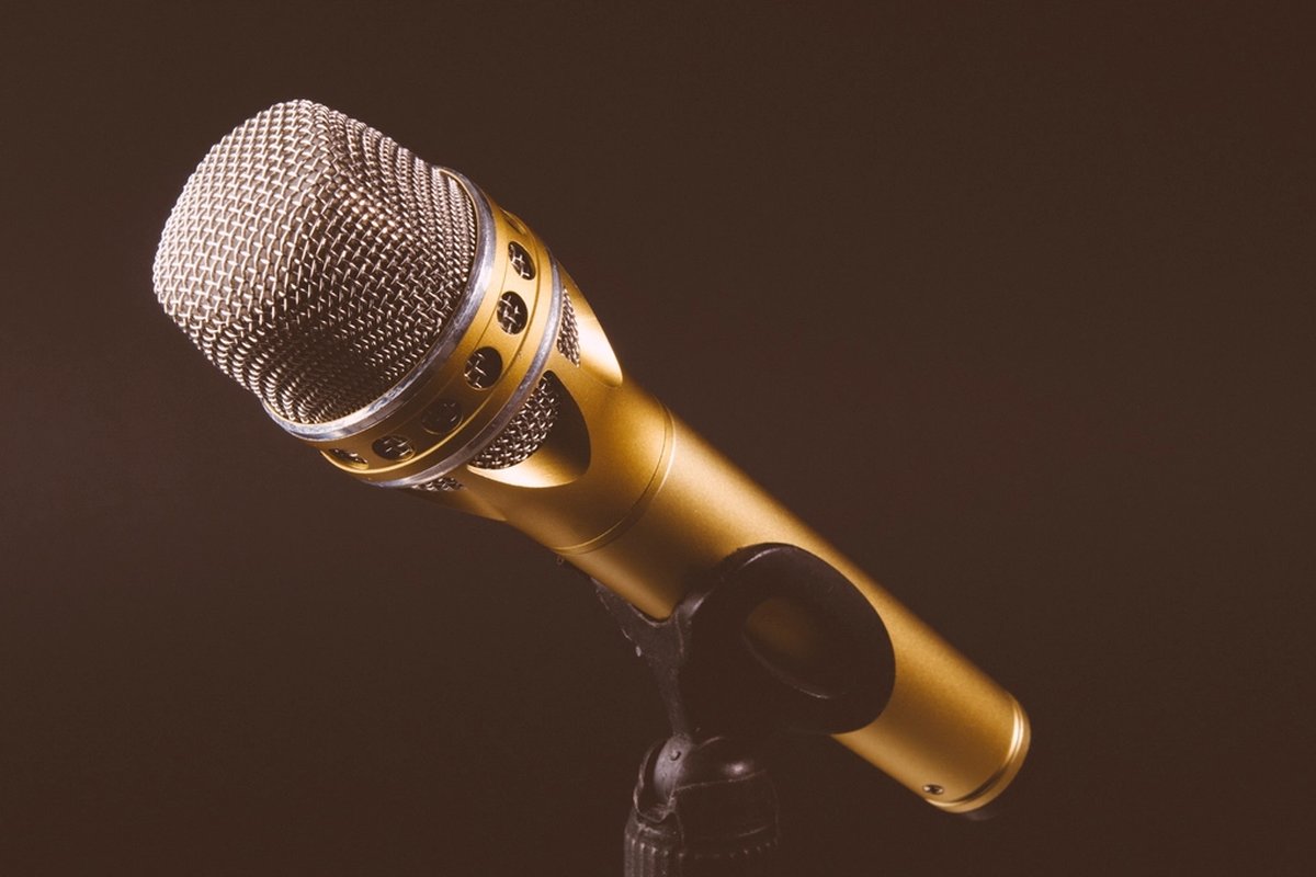 Караоке на день рождения: karaoke;singing microphone;microphone