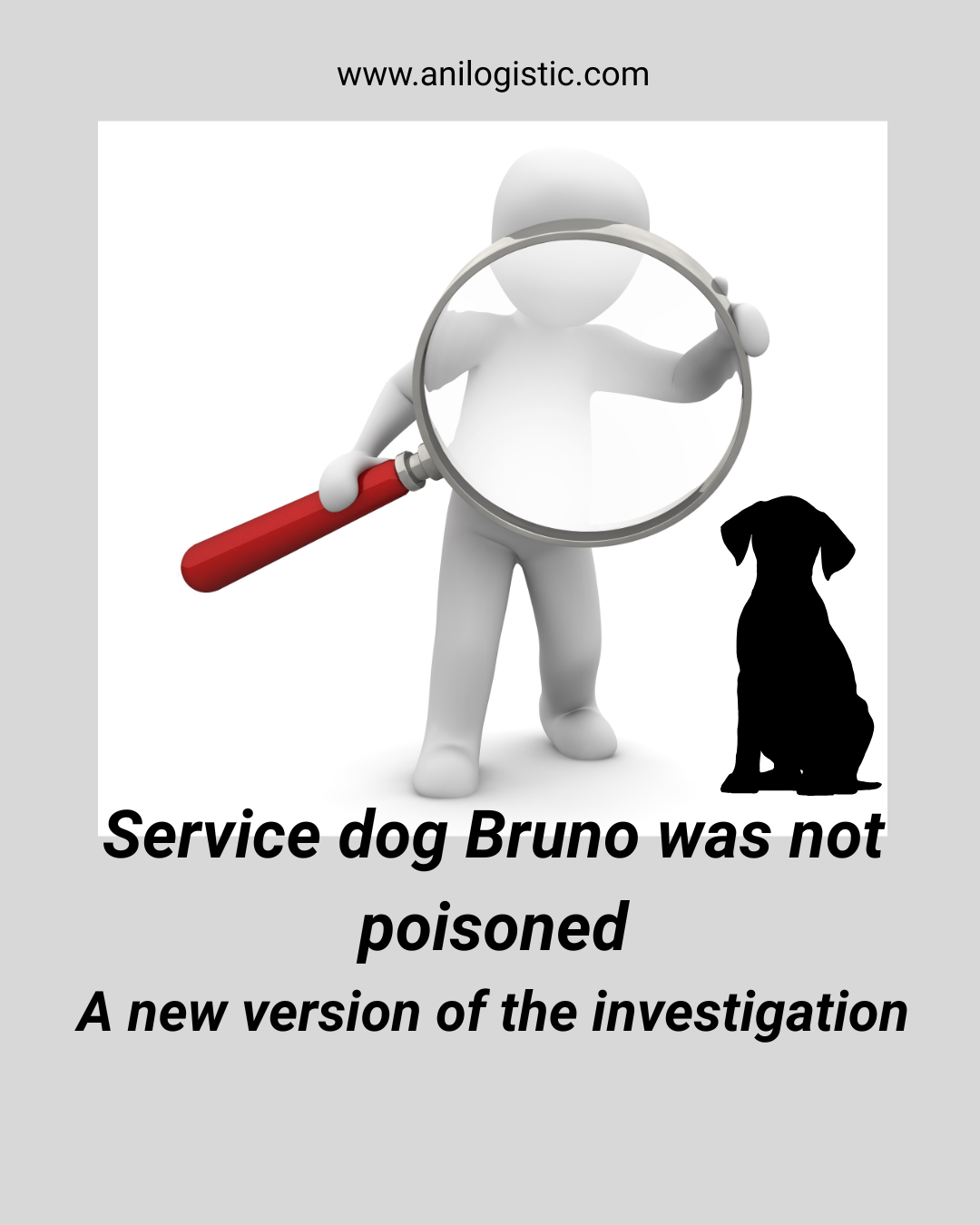 Service dog Bruno — investigation into the cause of death and prosecutor’s findings ruling out poisoning