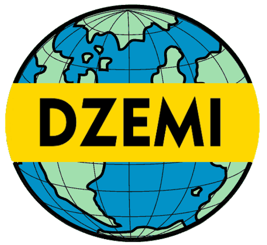  DZEMI 