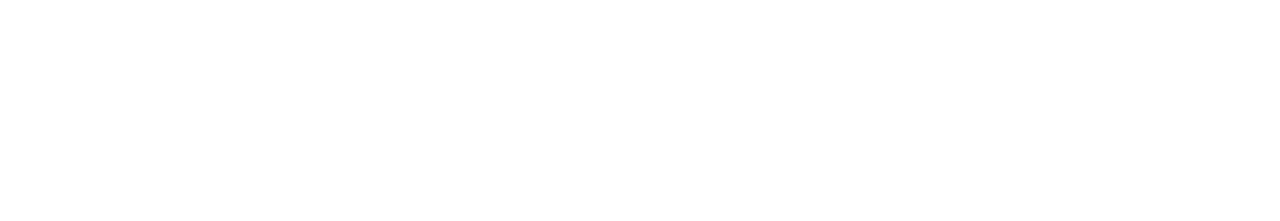 Новая Филармония