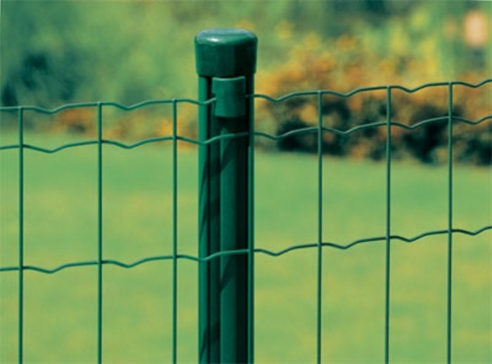Забор из сварной сетки в рулонах фото