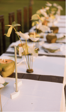 Neponaroshky-wedding-svadba-krym
