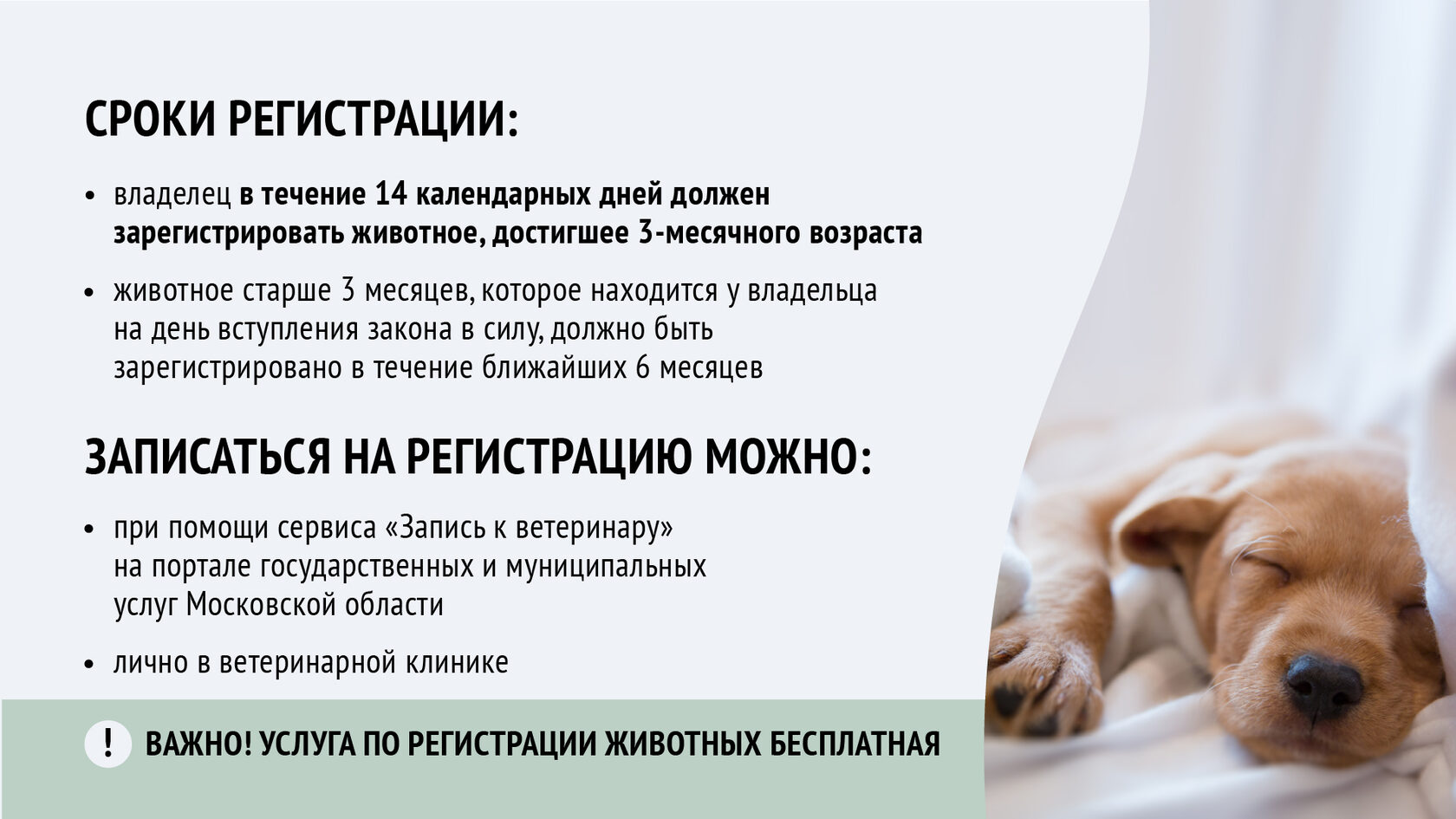 Модельный закон об обращении с животными. Выселение животных.