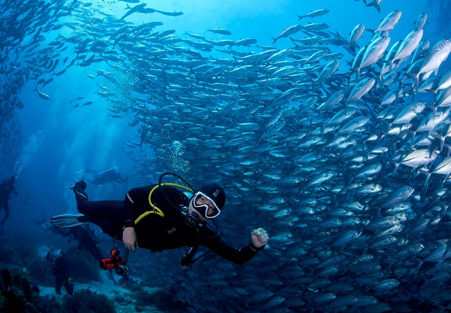 Sidemount Padi