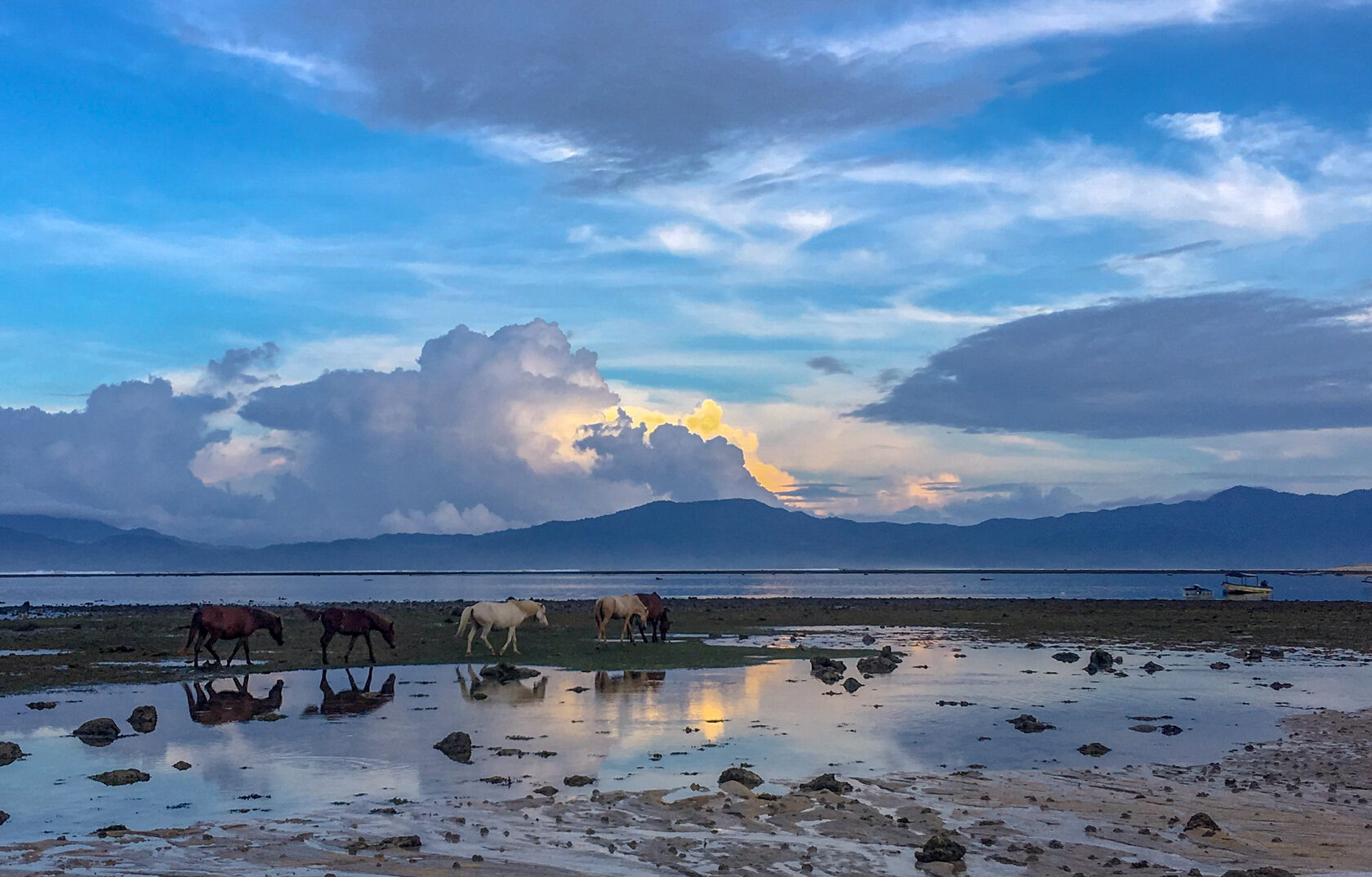 Indonesian coastline with a distant wave breaking on the horizon