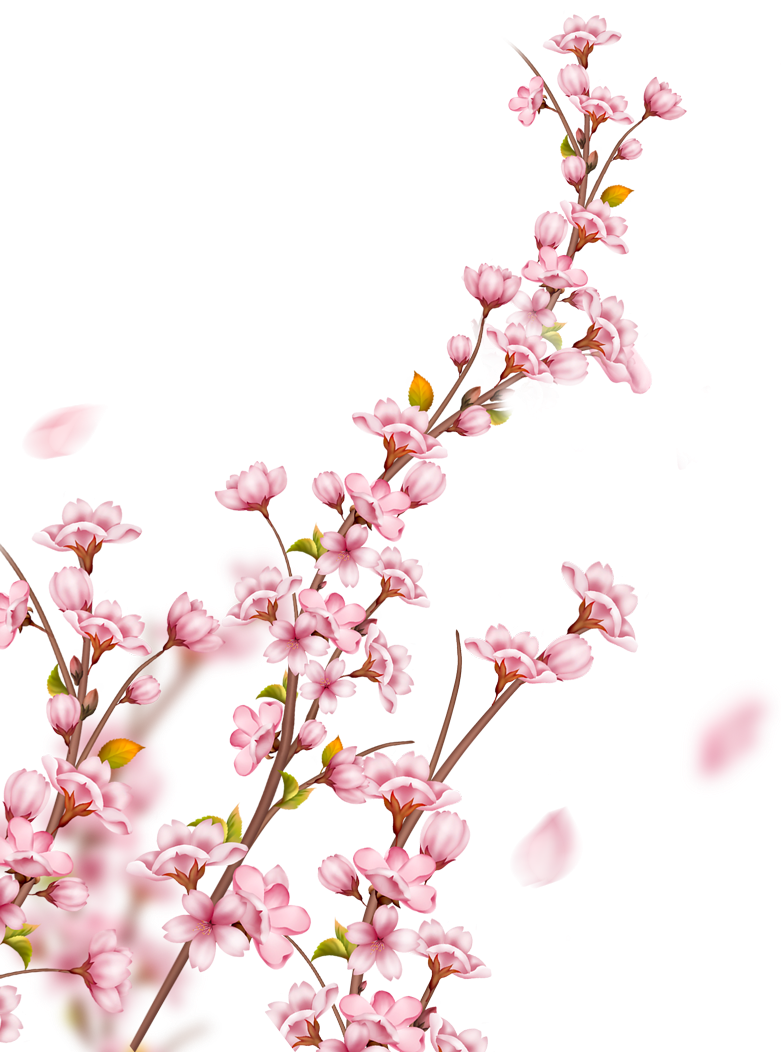 красные клены