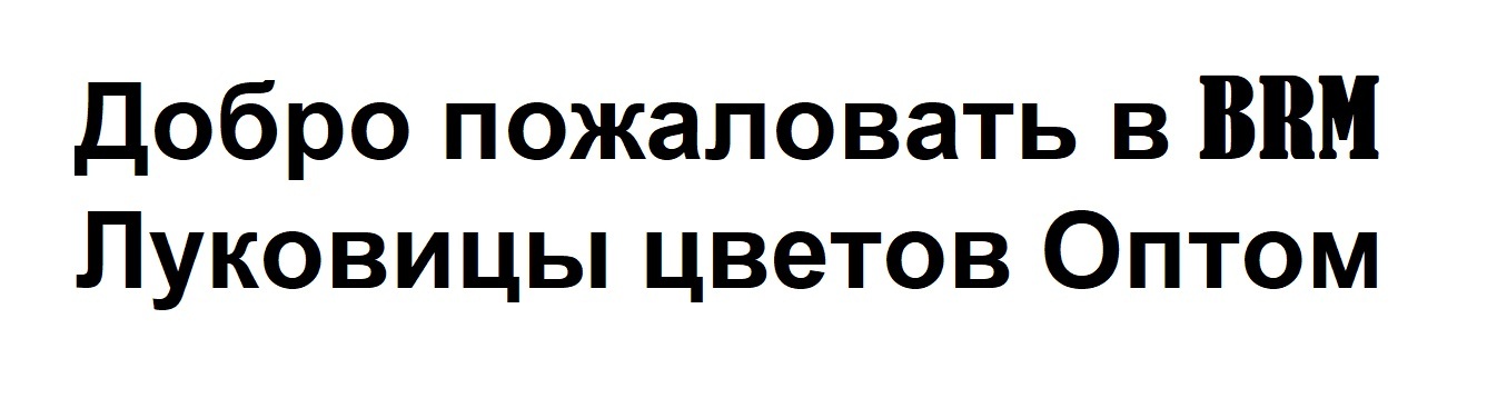  Добро пожаловать в BRM Луковицы цветов Оптом 