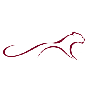 website icon