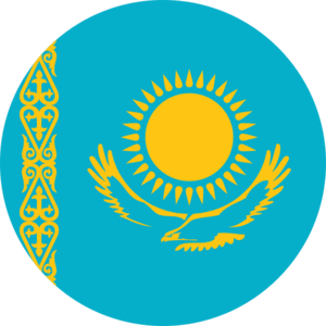 website icon