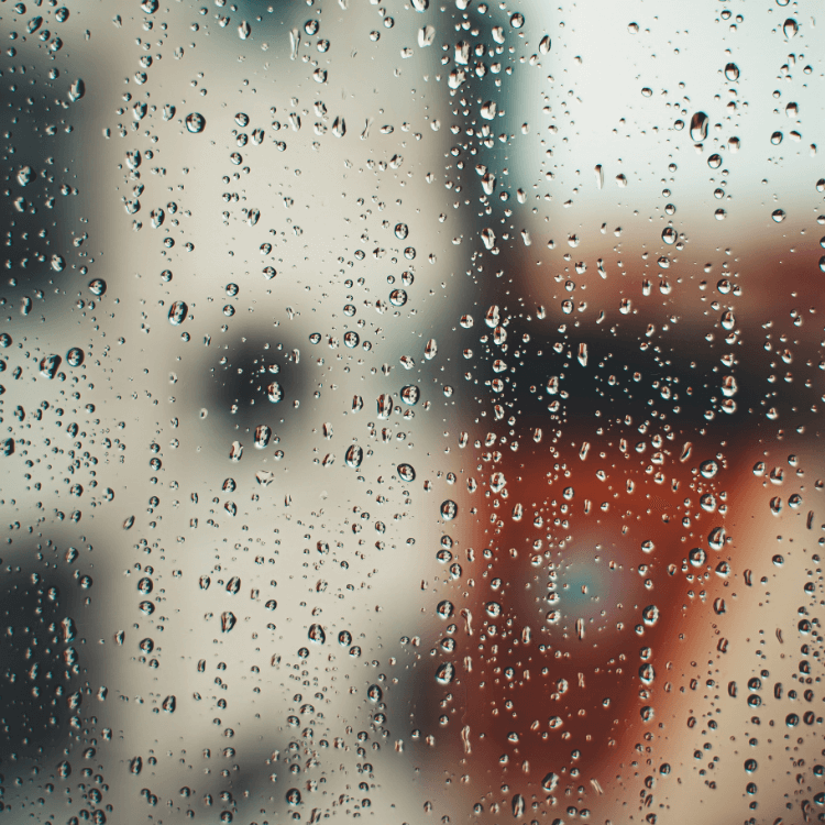 Es ist ein Zaunausschnitt aus Glas zu sehen