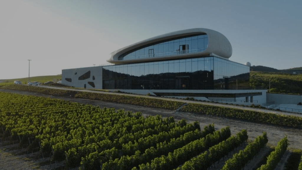 Скалистый берег