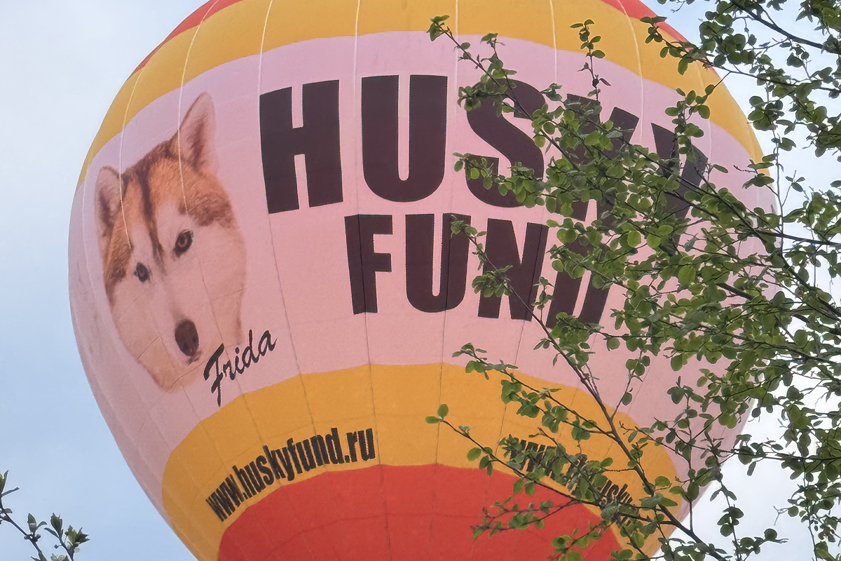 Дом и Елки, глэмпинг