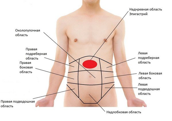 Области живота