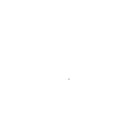 Портретная экспертиза