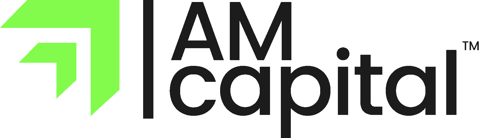 Am capital investment