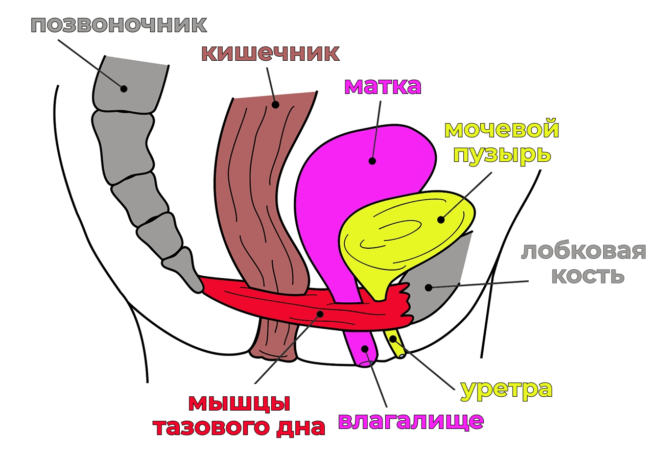 как уменьшить чувствительность на члене головки фото 110