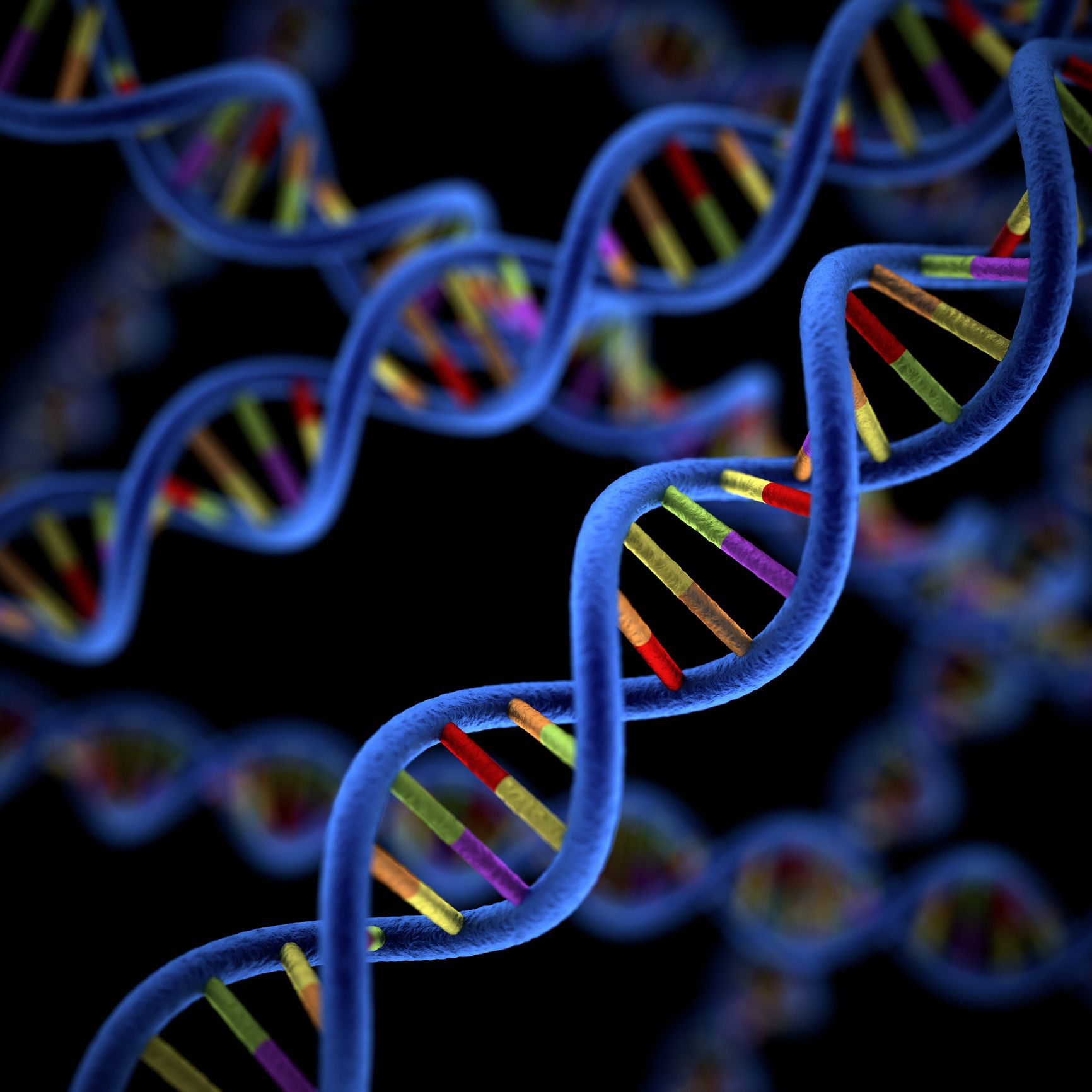 Изменение генома клетки. Мутагены ДНК. Молекула ДНК. Геномная ДНК. ДНК это в биологии.
