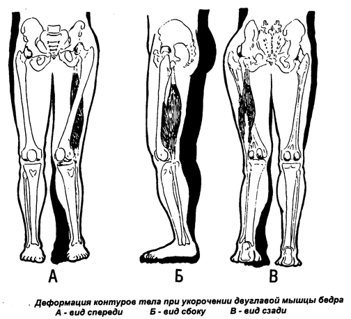 Ямуна боди роллинг: как избавиться от боли и зажимов в мышцах