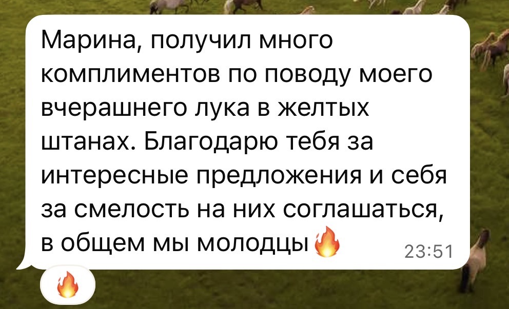 Отзыв 17