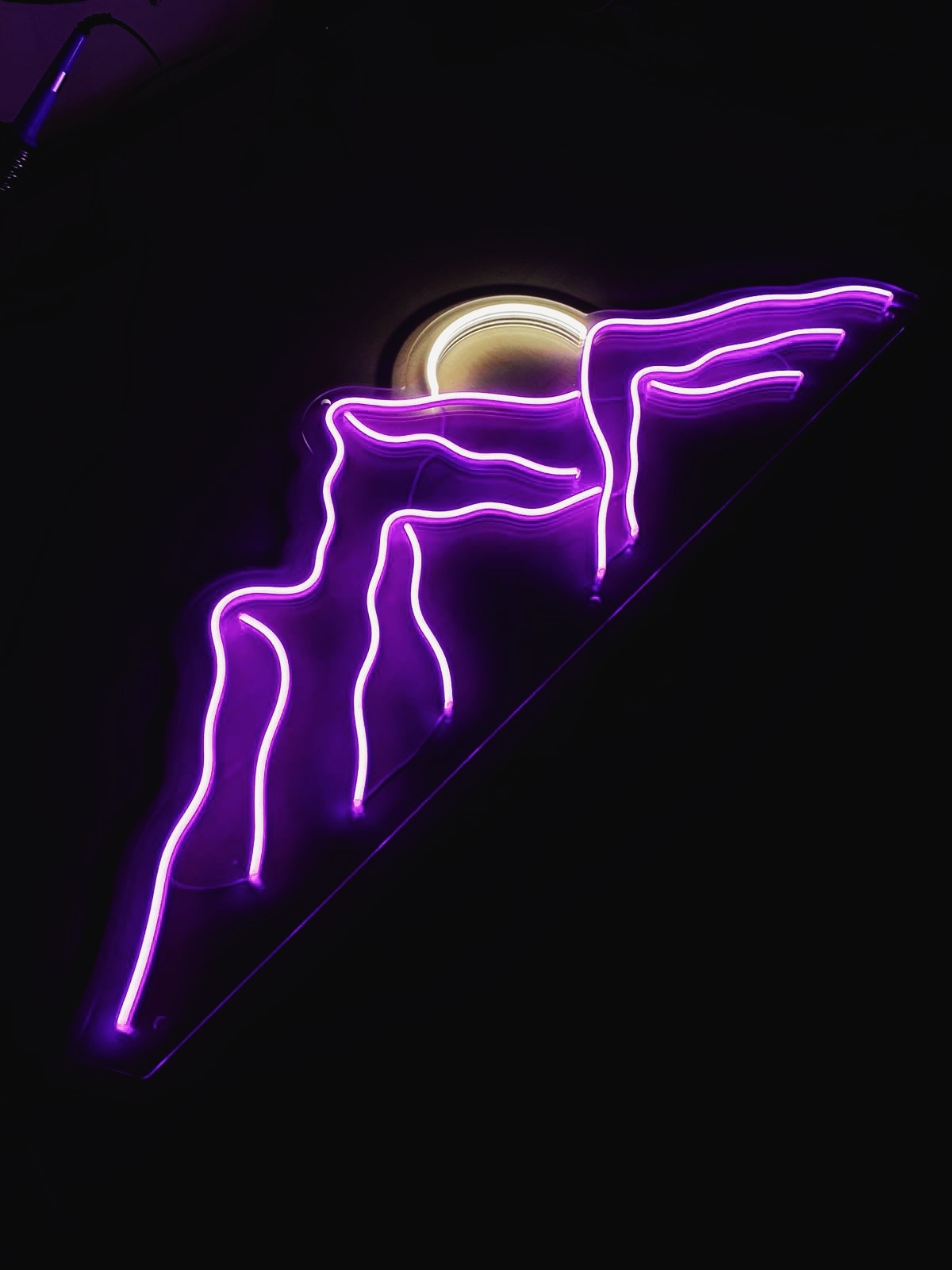 неоновая вывеска. неоновый шнур 12 вольт. вывеска из неона. гибкий неон сборка. объемные неоновые буквы.