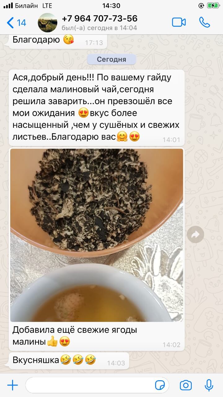 Чайный гайд