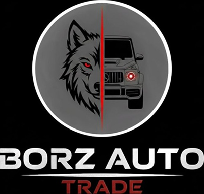  BORZ AUTO 