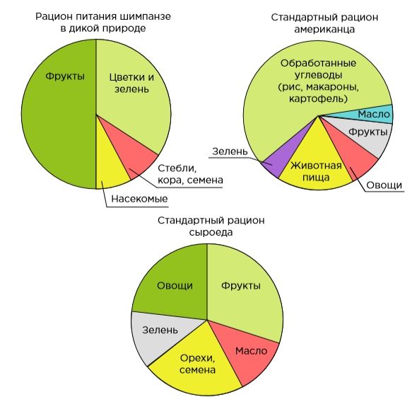 Диаграмма питания. Шимпанзе рацион питания. Рацион диаграмма. Диаграмма рациона питания. Рацион питания для человека диаграмма.