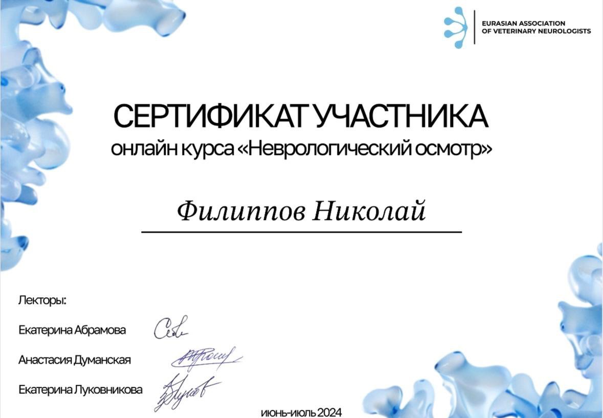 Сертификат участника онлайн-курса «Неврологический осмотр»