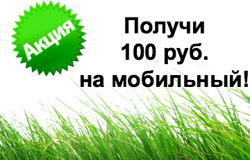 Зарабатываем 100 рублей