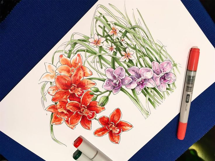 Скетчинг рисунки цветы